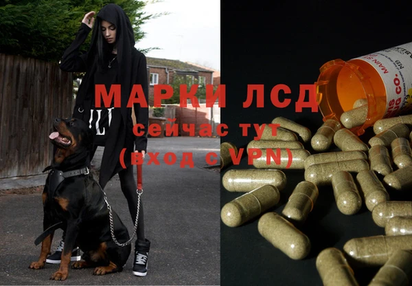 сатива Алексин