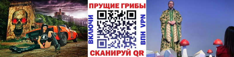 цены наркотик  Шатура  нарко площадка состав  Псилоцибиновые грибы прущие грибы 